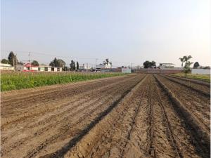 Terreno en venta en Santa Maria Xixitla, San Pedro Cholula — foto 2 de 9