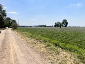Terreno en venta en Los Alvarez, Pedro Escobedo — foto 2 de 20