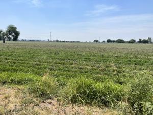 Terreno en venta en Los Alvarez, Pedro Escobedo — foto 3 de 20