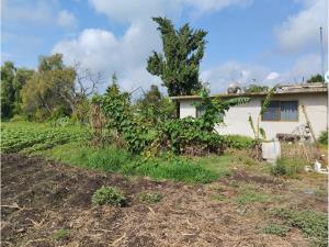 Terreno en venta en Taxhuada, Mixquiahuala de Juárez — foto 3 de 5