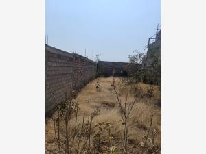 Terreno en venta en Zoquiapan, Ixtapaluca — foto 3 de 5
