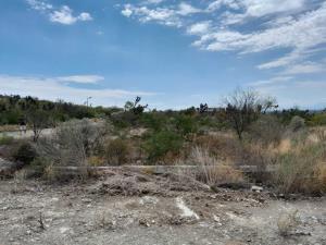 Terreno en venta en Valle del Mirador, Salinas Victoria — foto 3 de 7