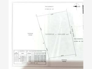 Terreno en venta en Alturas del Sur, Culiacán — foto 2 de 3