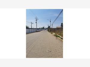 Terreno en venta en Panzacola, Papalotla de Xicohténcatl — foto 3 de 5
