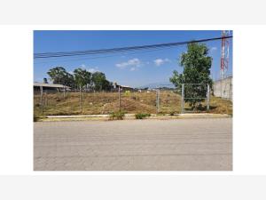 Terreno en venta en Panzacola, Papalotla de Xicohténcatl, Tlaxcala