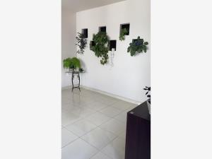 Casa en venta en Ocho Cedros, Toluca — foto 2 de 7