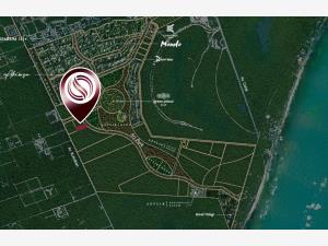 Terreno en venta en Aldea Zama, Tulum — foto 3 de 24