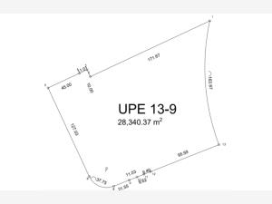 Terreno en venta en Aldea Zama, Tulum — foto 2 de 24