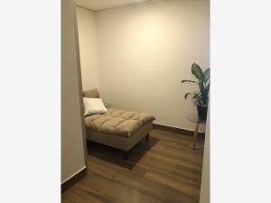 Departamento en renta en Centro, Monterrey — foto 3 de 16
