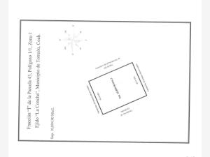 Terreno en venta en La Concha, Torreón — foto 3 de 3