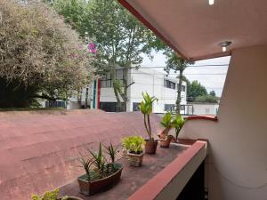 Casa en renta en Tamborrel, Xalapa — foto 3 de 24