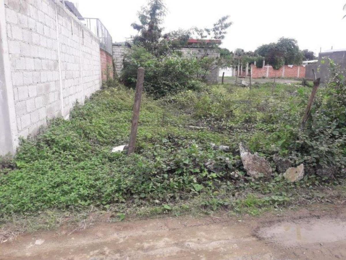 Terreno en venta en Ejidal, Martínez de la Torre
