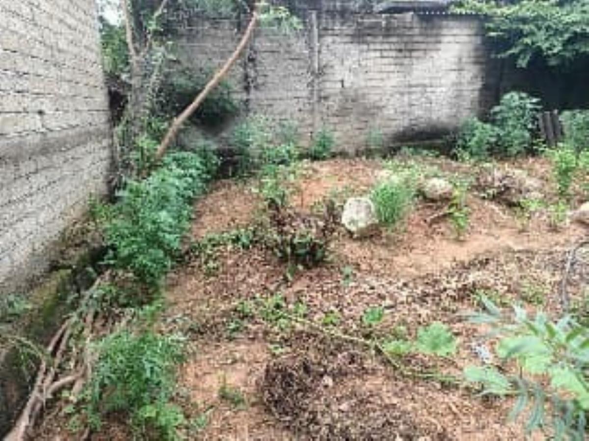 Terreno en venta en Las Lomas, Martínez de la Torre