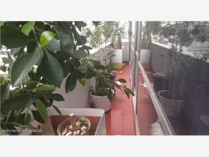 Departamento en renta en Polanco I Sección, Miguel Hidalgo — foto 3 de 15