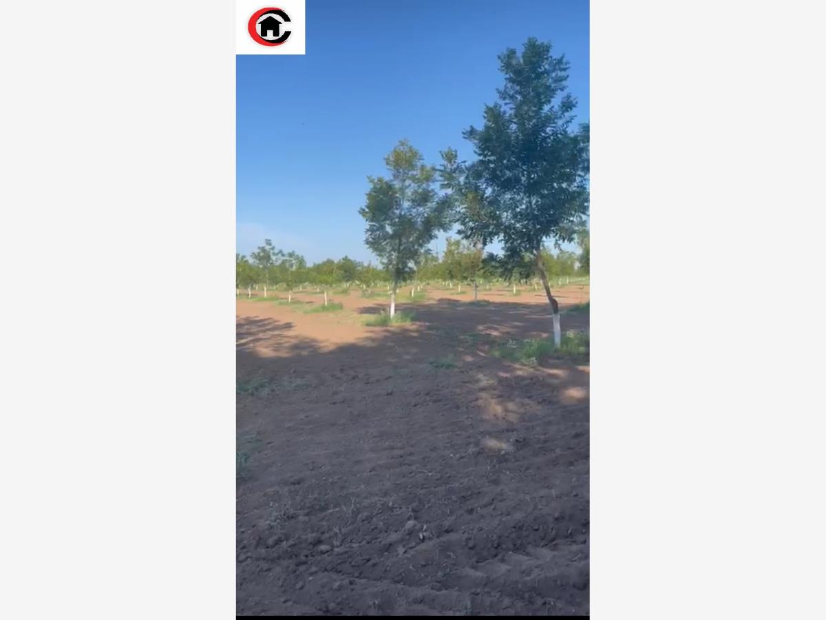Finca-Rancho en venta en Lazaro Cardenas, Meoqui — foto 1 de 5