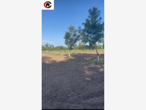 Finca-Rancho en venta en Lazaro Cardenas, Meoqui, Chihuahua