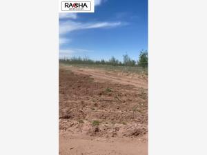 Finca-Rancho en venta en Lazaro Cardenas, Meoqui — foto 3 de 5