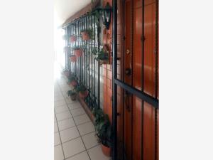 Departamento en venta en Argentina Antigua, Miguel Hidalgo — foto 2 de 16