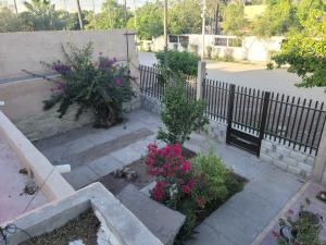 Casa en venta en Alvaro Obregon, Lerdo — foto 2 de 14