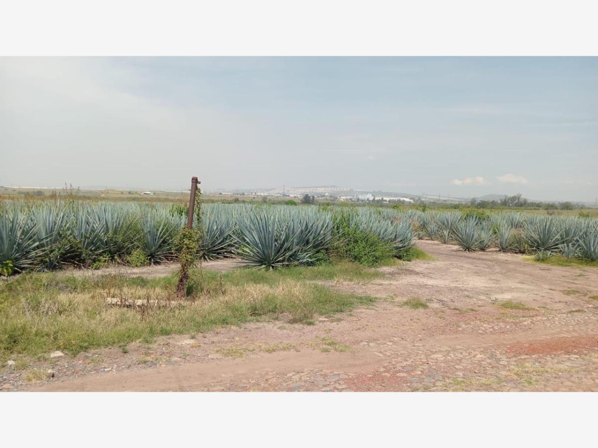 Terreno en venta en Rinconada la Loma, Ixtlahuacán de los Membrillos — foto 1 de 2