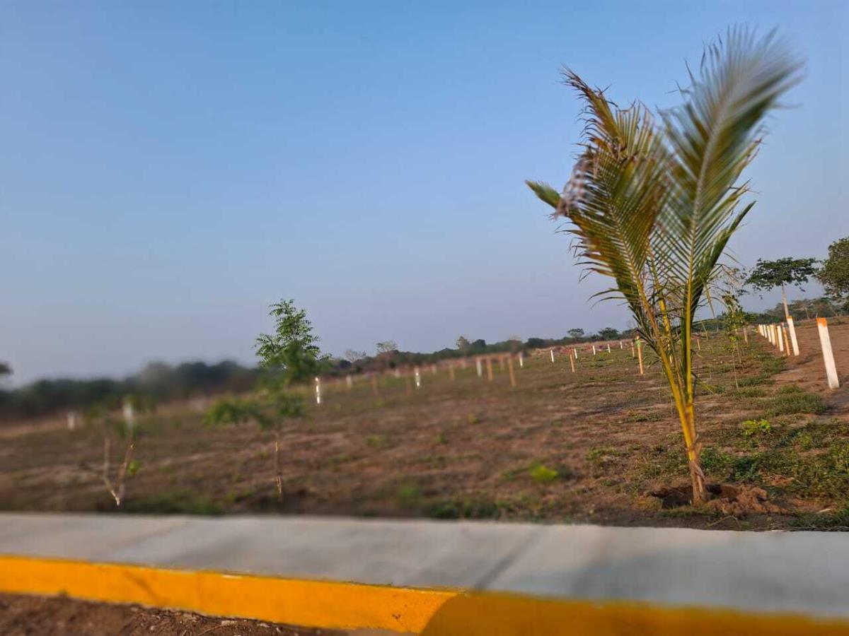Terreno en venta en Medellín, Medellín de Bravo — foto 1 de 10