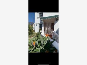 Casa en venta en Buenavista, Cuernavaca — foto 3 de 10