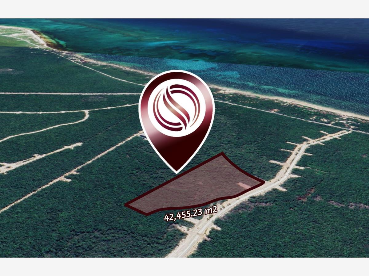 Terreno en venta en Aldea Zama, Tulum — foto 1 de 24