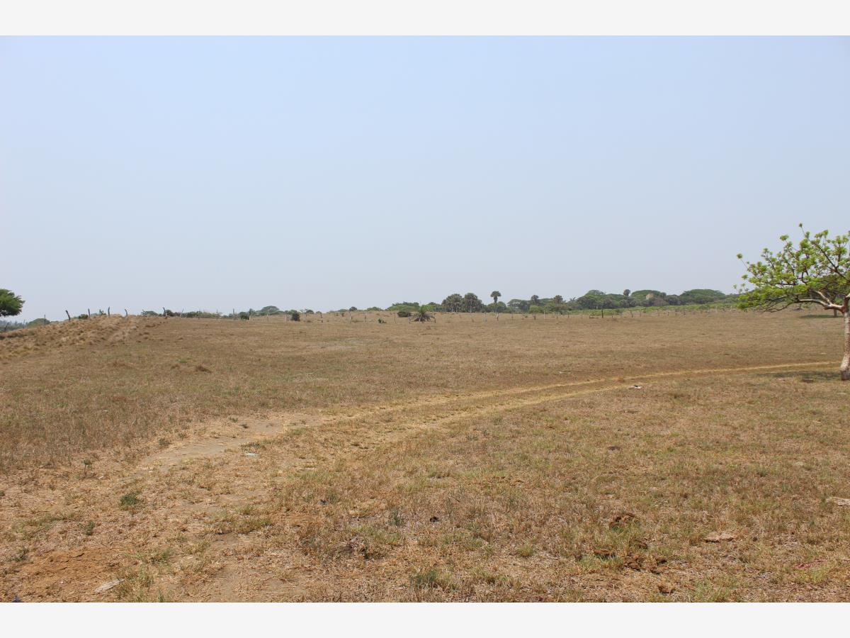 Terreno en venta en La Matoza (Acapulquito), Alvarado — foto 1 de 3