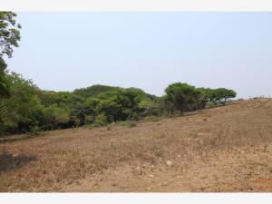 Terreno en venta en La Matoza (Acapulquito), Alvarado — foto 2 de 3