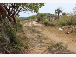 Terreno en venta en La Matoza (Acapulquito), Alvarado — foto 3 de 3