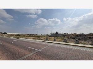 Terreno en venta en San Bernardino Tlaxcalancingo, San Andrés Cholula — foto 3 de 6
