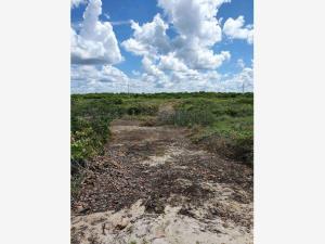 Terreno en venta en Sisal, Hunucmá — foto 2 de 3
