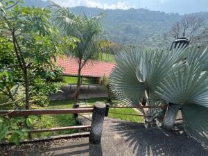 Finca-Rancho en venta en Villa Union, Fortín — foto 3 de 24