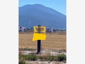 Terreno en venta en Campestre San Antonio, Arteaga — foto 3 de 8