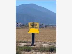 Terreno en venta en Campestre San Antonio, Arteaga — foto 2 de 8