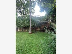 Terreno en venta en Acapatzingo, Cuernavaca — foto 2 de 7
