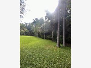 Terreno en venta en Acapatzingo, Cuernavaca — foto 3 de 7