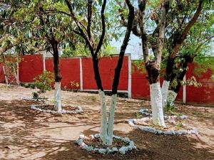 Casa en venta en Juan Morales, Yecapixtla — foto 3 de 15