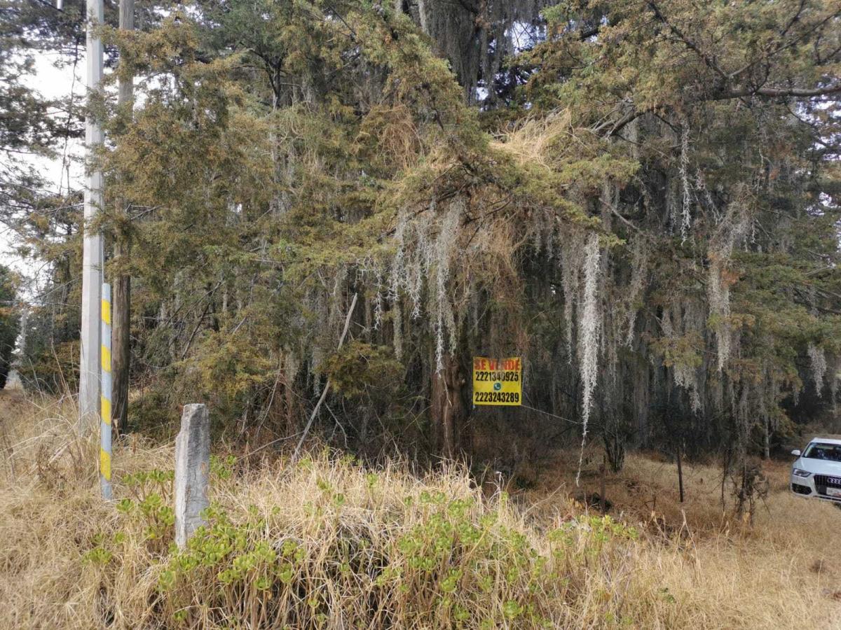 Terreno en venta en Santa Rita Tlahuapan, Tlahuapan — foto 1 de 2