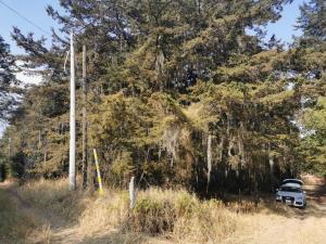 Terreno en venta en Santa Rita Tlahuapan, Tlahuapan — foto 2 de 2