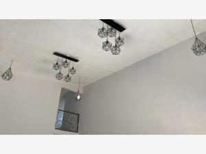 Casa en renta en San Armando, Torreón — foto 3 de 23