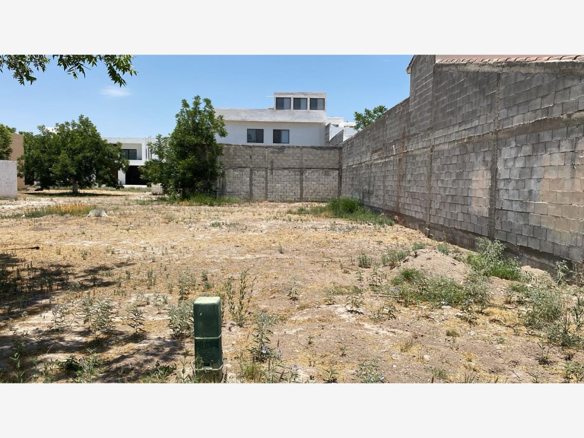 Terreno en venta en San Armando, Torreón — foto 1 de 4