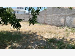 Terreno en venta en San Armando, Torreón — foto 2 de 4