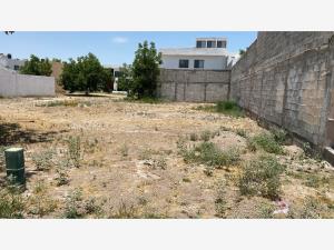 Terreno en venta en San Armando, Torreón — foto 3 de 4