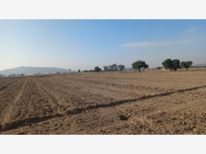 Terreno en venta en Santa Maria Zacatepec, Juan C. Bonilla — foto 3 de 5