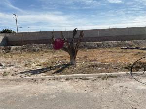 Terreno en venta en Las Trojes, Torreón — foto 2 de 5