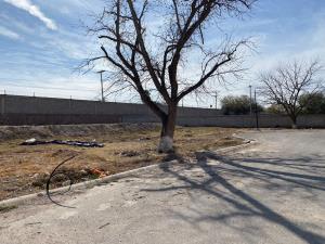 Terreno en venta en Las Trojes, Torreón — foto 3 de 5