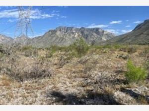 Terreno en venta en Higueras, Ramos Arizpe — foto 2 de 5