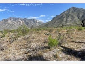 Terreno en venta en Higueras, Ramos Arizpe — foto 3 de 5