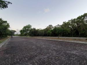 Terreno en venta en Cruz de Servicios, Solidaridad — foto 3 de 12